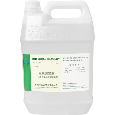 10%中性福尔马林