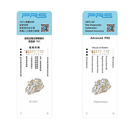 PRS自带通用抗原免疫组化染色过程记录、质控、校准片